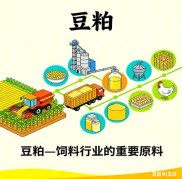 豆粕的生产、用途及种类介绍，与花卉业和期货夜盘无关