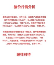 2026年生猪行情低迷，产能过剩猪价跌至年内最低