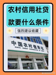 农村信用社贷款条件大揭秘：信用贷款与保证贷款要求详解