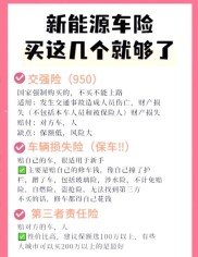 预算有限时新能源汽车保险怎么买最划算？看这里