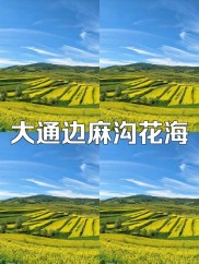 大通回族土族自治县：116个贫困村脱贫，边麻沟村分红啦