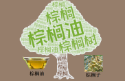 6月11日马来西亚棕榈油期货收高，受竞品植物油支撑