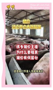 养猪行情解读：当前盈利正常，但猪价为何持续下跌？