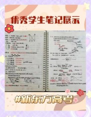 高考月谈期货交易，收好学霸笔记应对考试与波动