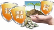 社会信用体系：市场经济成熟标志，有何作用及概念？