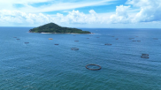阳江贷款新方向：海洋养殖装备金融支持