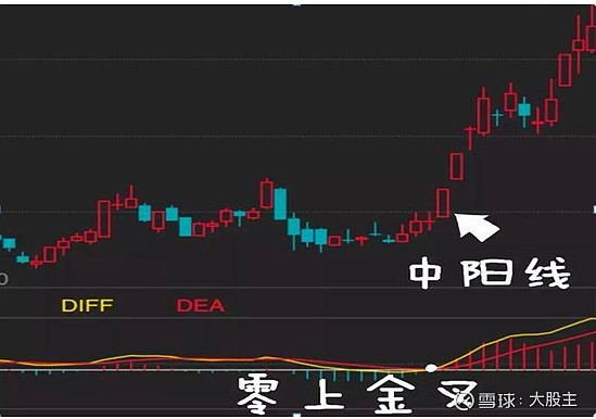 A股小资金做大的唯一方式_炒股就是炒趋势:民间股神高竹楼趋势看盘绝技 pdf_炒股16年职业炒股12年3年5万到280万MACD三板斧