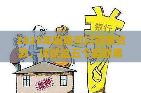 2025年哪里可以空放贷款,试试这五个最新黑户能下的口子2025