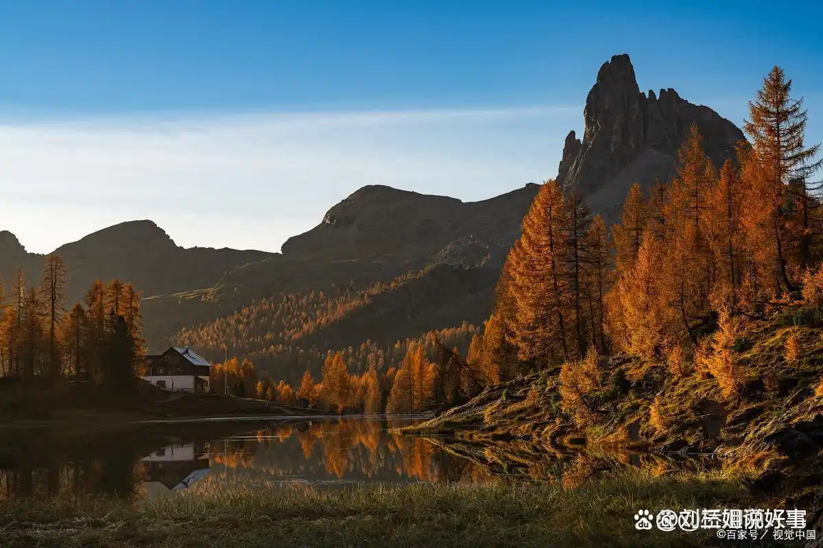 炒股是没有技术的_投机心态与交易规则_股票稳定亏损原因分析