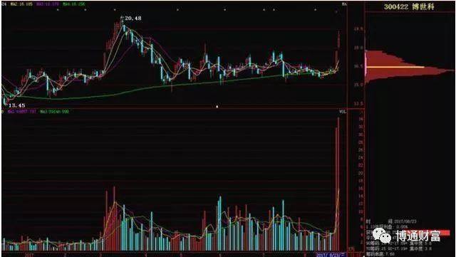 筹码分布图分析庄家动向_股票市场投资与投机对比_股市筹码分布怎么看