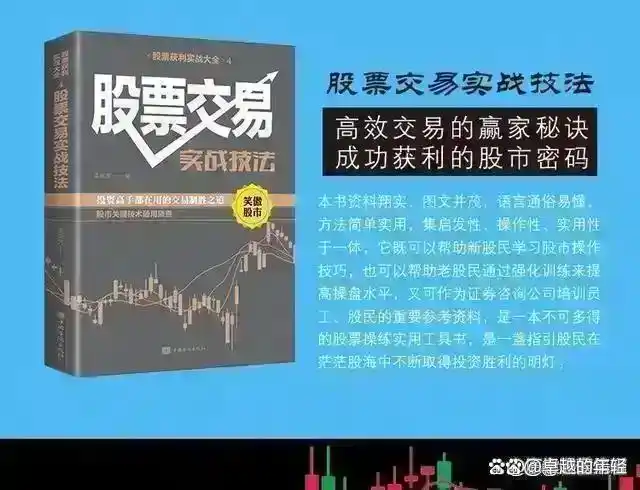 巴菲特A股投资方法_以下关于a股现金_长期投资策略