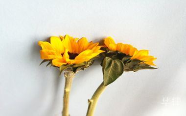 房屋贷款流程详细步骤