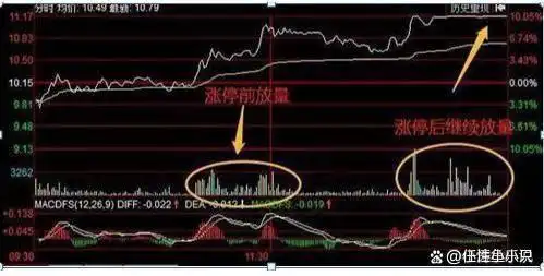 初入股市如何避免亏钱_炒股是没有技术的_降低炒股交易频率的方法
