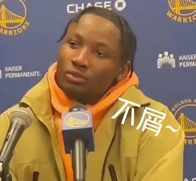 森林狼炒股群_天狼50炒股软件怎么样_喜羊羊与灰太狼森林里的精灵