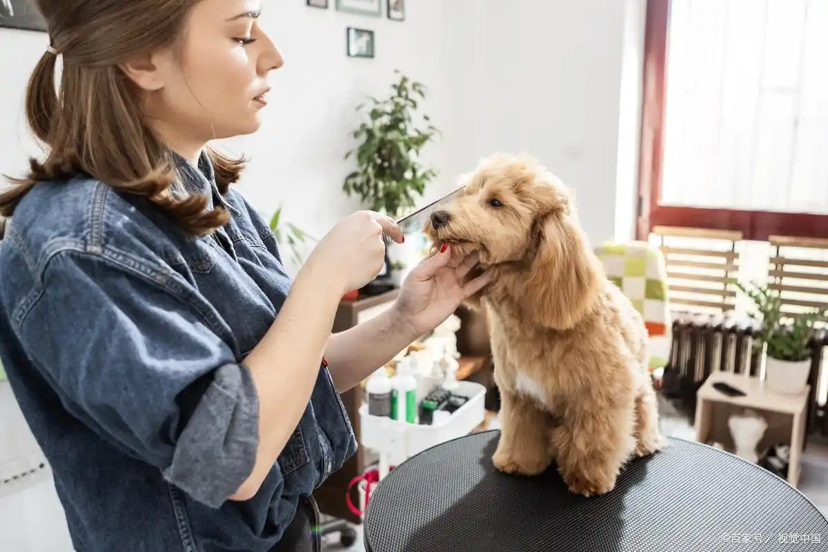 稳定赚钱副业方法_副业兼职选择指南_兼职做什么好比较赚钱