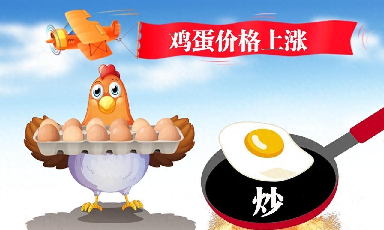 今日全国鸡蛋价格最新行情走势_北京鸡蛋三连涨原因分析_鸡蛋价格持续上涨