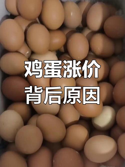 北京鸡蛋三连涨原因分析_今日全国鸡蛋价格最新行情走势_鸡蛋价格持续上涨
