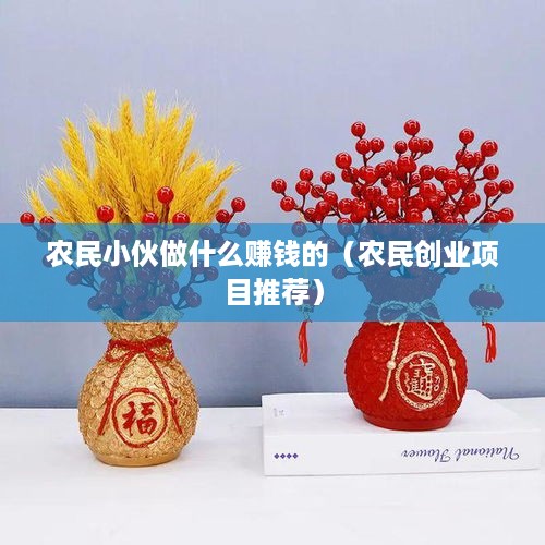 农民小伙做什么赚钱的(农民创业项目推荐)