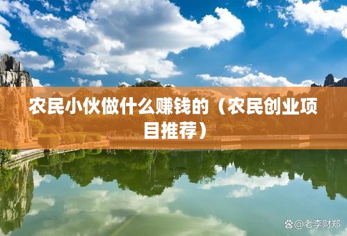 农民小伙做什么赚钱的(农民创业项目推荐)