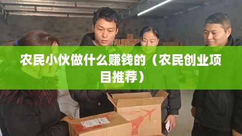 农民小伙做什么赚钱的(农民创业项目推荐)