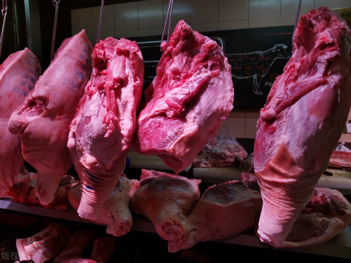 今日全国鸡蛋价格最新行情走势_猪价涨不动 全线回落 西南部分地区跌回7元_油价跌不动 成品油价格调整 国际油价上涨