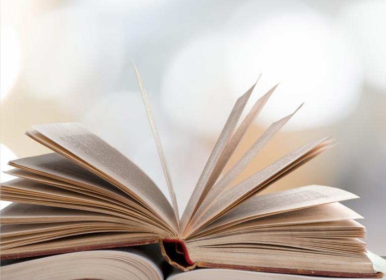 骗取贷款罪 刑法第一百七十五条之一 立案追诉标准_贷款通则2025最新版本69条