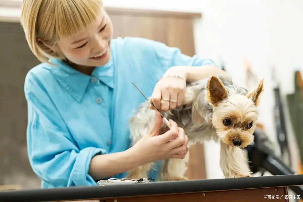 兼职做什么好比较赚钱_手工艺品制作销售_在家赚钱兼职