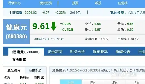 股票市场的股民如何参与网络投票