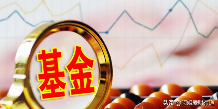 家庭财务体检_理财家庭信息调查表_家庭基金配置