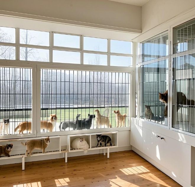 过年做什么生意赚钱_烟花爆竹利润分析_过年期间小生意