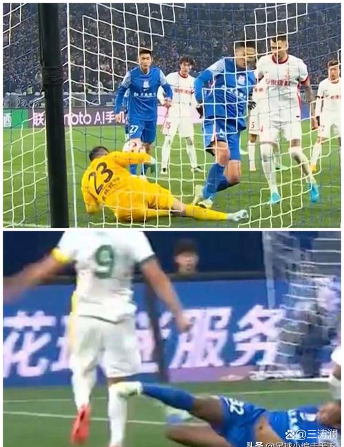 上海申花特维斯表现_德罗巴中超转会申花赚钱了吗_ 特维斯加盟申花原因分析 