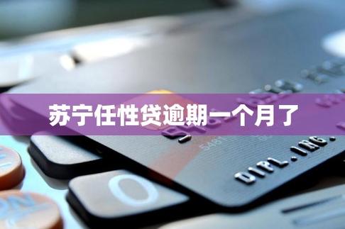 苏宁员工内部借款偿还_理财 苏宁金融_苏宁员工理财逾期未兑付