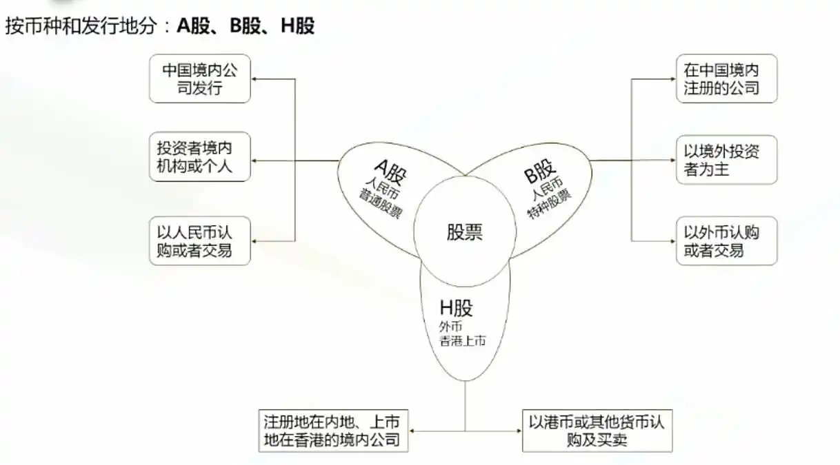 抄股票基础知识l_炒股票基础知识_抄股票基础知识动画讲解