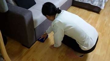 玄田算法生猪价格预测模型_2026年养猪行情_中国养猪网生猪价格走势图