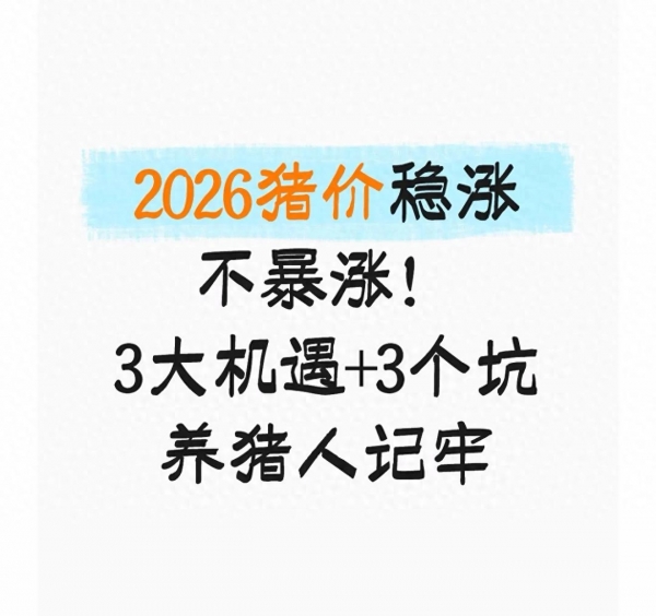 2026年猪价预测温和上移_养猪新机遇与风险分析_2026年养猪行情