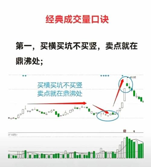 炒股教程视频教程_股票入门基础知识_新手如何购买股票