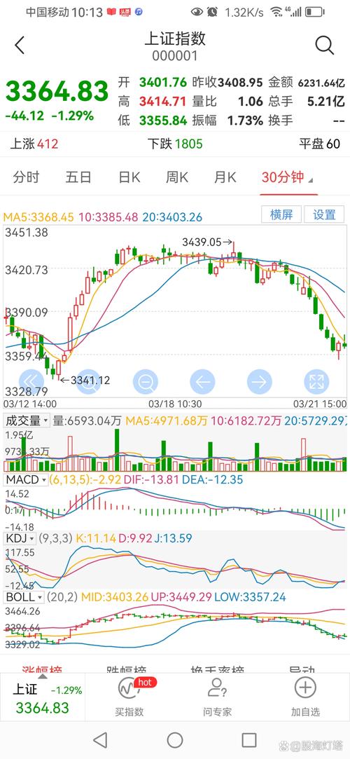 A股大盘暴跌6.5%_股民担心牛市见顶专家分析_a股大盘跌停过吗