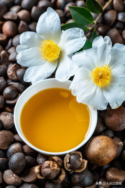 茶油经济收益_农村茶油价值_今日毛豆油行情