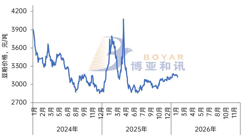 巴西大豆产量上调影响_今日毛豆油行情_豆粕期货价格下跌原因