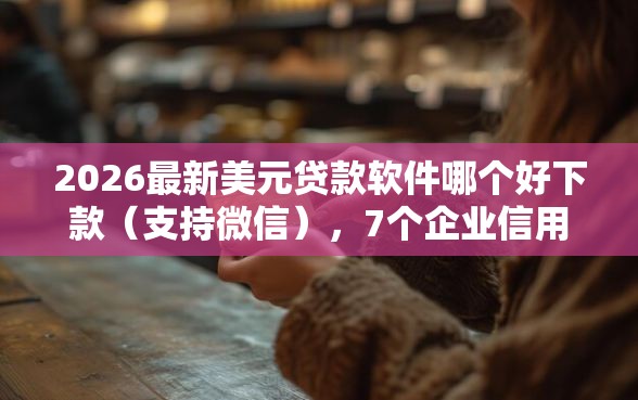 2026最新美元贷款软件哪个好下款（支持微信），7个企业信用贷款平台无私分享