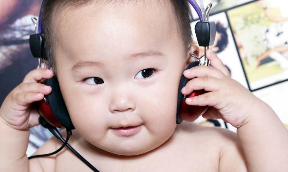 最火的小本生意做宠物生意_小本生意带来的收益_前几年项目小本赚钱