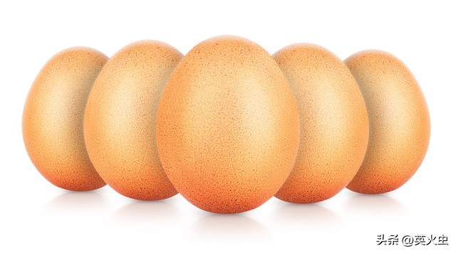 农村颗粒燃料加工_农村一次性餐筷加工_农村做什么生意赚钱 养殖土鸡